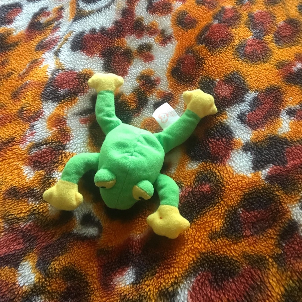 Cute green frog